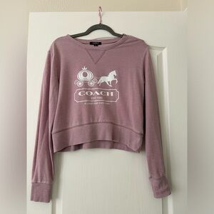 Cinderella Themed Long Sleeve Tee Size: Small